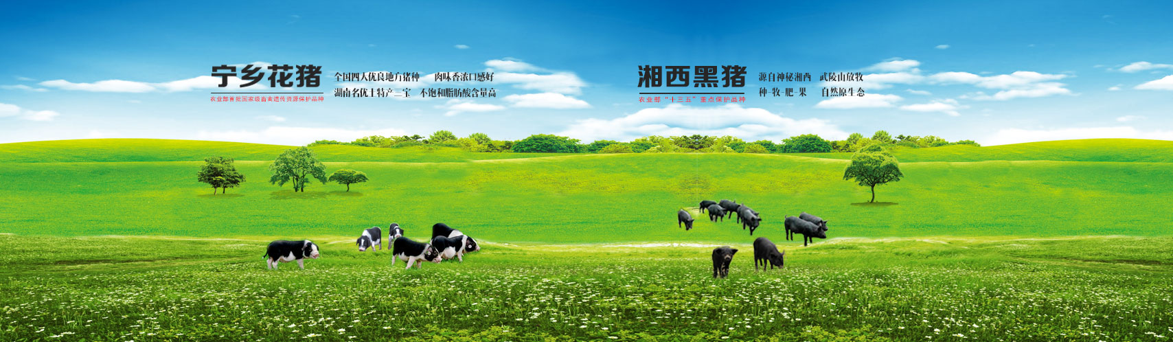 AGƽ̨������Ϸ(����)�ٷ���վ