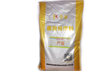 蛋鸡000.jpg 蛋鸡000.jpg