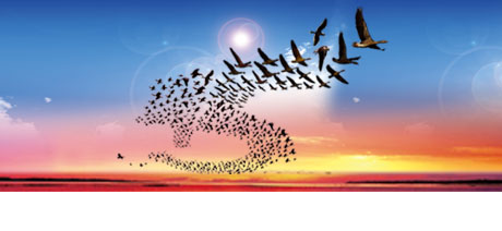 ����������